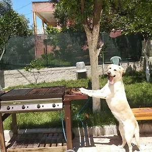 Casa di campagna Casa Prifti, Vlorë